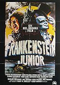 Young Frankenstein Poster 62x84cm Denmark FN original