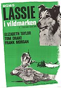 Lassie i vildmarken Poster 70x100cm FN original