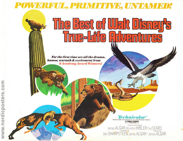 The Best of Walt Disney´s True-Life Adventures 1975 lobby card set Winston Hibler James Algar