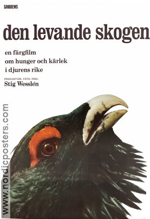 Den levande skogen 1966 poster Stig Wesslén