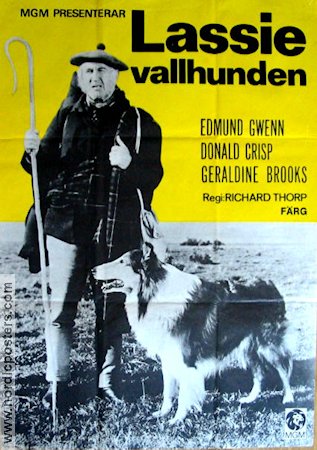 Lassie vallhunden 1950 movie poster Edmund Gwenn Lassie Dogs