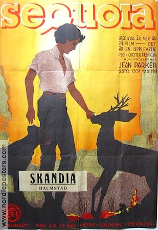 Sequoia 1935 movie poster Jean Parker Chester Franklin Documentaries
