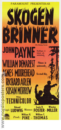 The Blazing Forest 1952 poster John Payne Edward Ludwig