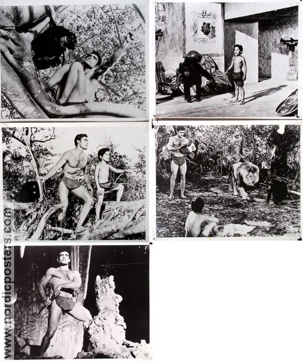 Tarzan and the Valley of Gold 1966 photos Mike Henry David Opatoshu Manuel Padilla Jr Robert Day Find more: Tarzan Agents