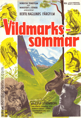 Vildmarkssommar 1957 movie poster Ulf Strömberg Olof Thunberg Bertil Haglund Poster artwork: Walter Bjorne Documentaries Mountains