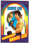 Li Xiao Long De Sheng Yu Si 1973 movie poster Mei Wang Bruce Lee Linda Lee Cadwell Documentaries Poster from: Turkey