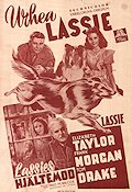 Courage of Lassie 1947 movie poster Elizabeth Taylor Poster from: Finland