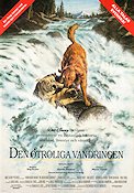Homeward Bound: The Incredible Journey 1993 movie poster Robert Hays Duwayne Dunham Dogs