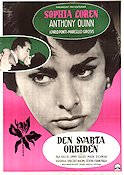 The Black Orchid 1959 movie poster Sophia Loren Anthony Quinn