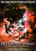 The Sword and the Sorcerer 1982 poster Lee Horsley Albert Pyunm