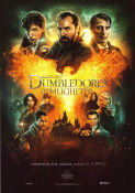 Fantastic Beasts: The Secrets of Dumbledore 2022 movie poster Eddie Redmayne Jude Law Ezra Miller David Yates