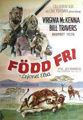 Born Free 1964 movie poster Virginia McKenna Bill Travers James Hill Writer: Joy Adamson Cats