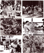 Paradise Hawaiian Style 1966 photos Elvis Presley Suzanna Leigh James Shigeta Michael D Moore Musicals