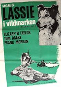 Courage of Lassie 1946 movie poster Elizabeth Taylor Lassie Fred M Wilcox Dogs