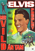 Wild in the Country 1961 movie poster Elvis Presley Hope Lange Tuesday Weld Philip Dunne Poster artwork: Walter Bjorne
