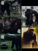 Mighty Joe Young 1998 large lobby cards Bill Paxton