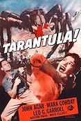 Tarantula 1956 movie poster John Agar Mara Corday Poster from: Finland