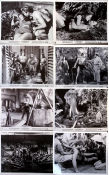 Tarzan and the She-Devil 1953 photos Lex Barker Joyce Mackenzie Kurt Neumann Find more: Tarzan