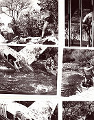 Tarzan´s Greatest Adventure 1959 photos Gordon Scott Sean Connery Anthony Quale John Guillermin Find more: Tarzan
