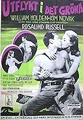 Picnic 1956 movie poster William Holden Kim Novak