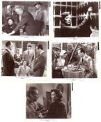 Whirlpool 1950 photos Gene Tierney Richard Conte José Ferrer Otto Preminger Film Noir